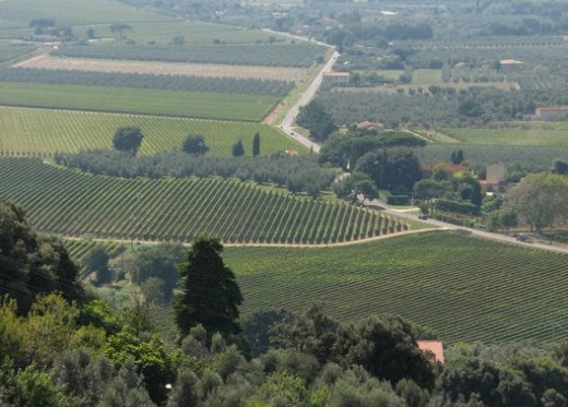 Podere Orma, producteur de vins de Toscane